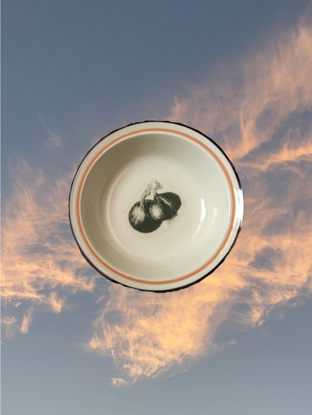Countryside Stoneware Collection Vegetable Printed Bowl